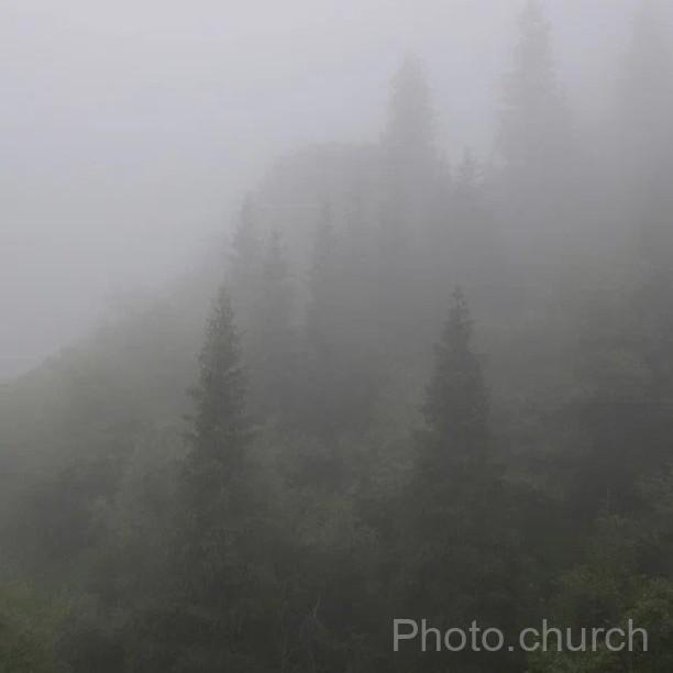 IMAGE 6500457